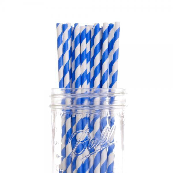 1000 Bulk Wholesale Pack Blue White Drinking Straws