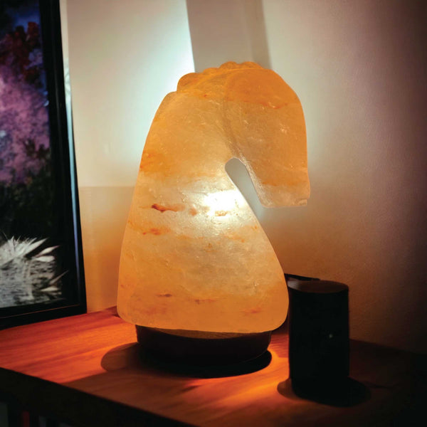 12V 12W Horse Himalayan Pink Salt Lamp Carved Knight Rock