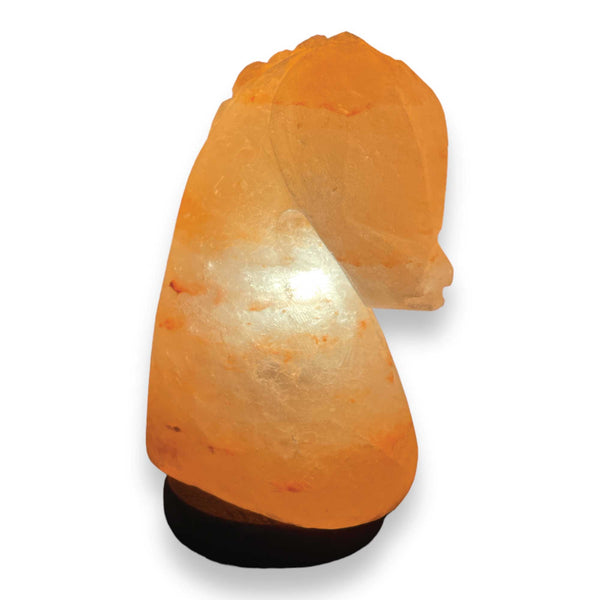 12V 12W Horse Himalayan Pink Salt Lamp Carved Knight Rock