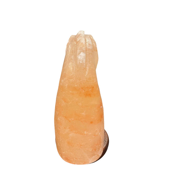 12V 12W Horse Himalayan Pink Salt Lamp Carved Knight Rock