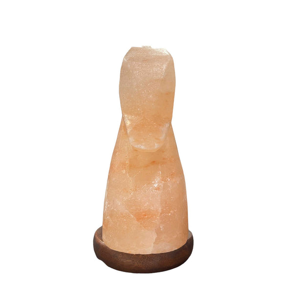 12V 12W Horse Himalayan Pink Salt Lamp Carved Knight Rock