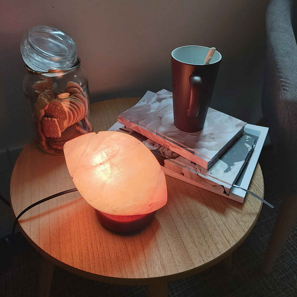12V 12W Rugby Himalayan Pink Salt Lamp Carved Footy Rock