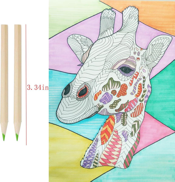 18pcs Mini Colour Pencils Junior Artist Coloured Pencils