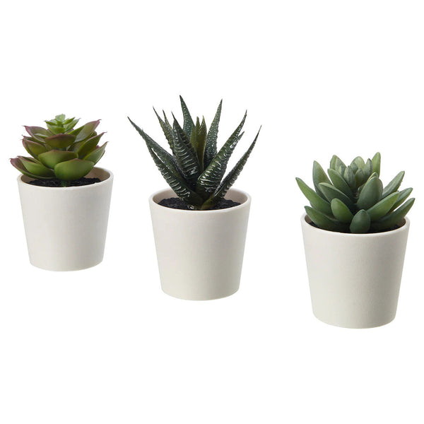 3 Pack of Artificial Succulent Potted Plants in White