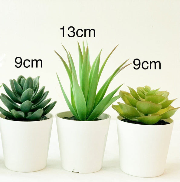 3 Pack of Artificial Succulent Potted Plants in White