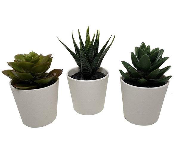 3 Pack of Artificial Succulent Potted Plants in White