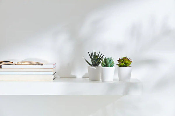 3 Pack of Artificial Succulent Potted Plants in White