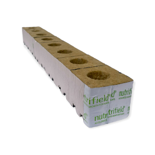 75x75x65mm Stonewool 8pk - Planting Propagation Growing