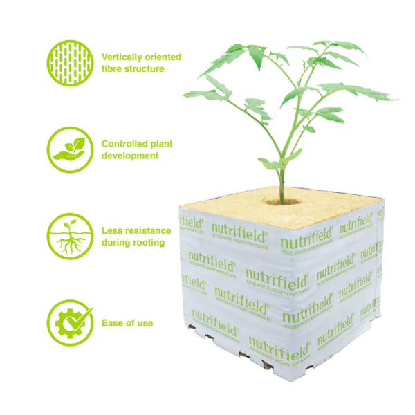 75x75x65mm Stonewool 8pk - Planting Propagation Growing