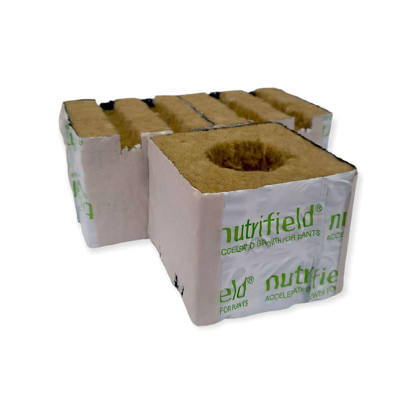 75x75x65mm Stonewool 8pk - Planting Propagation Growing