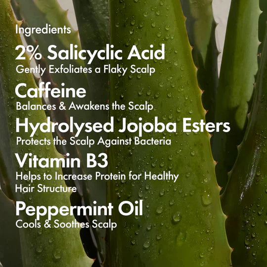 Bondi Boost Dandruff Repair Leave-in Scalp Serum - Haircare