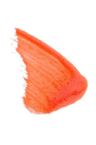 Silk Oil of Morocco Argan Vegan Lipstain Orange Fizz