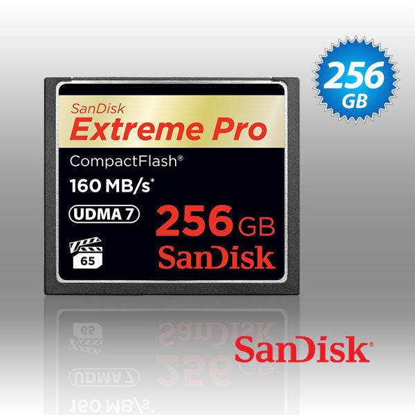 SanDisk Extreme Pro CFXP 256GB CompactFlash 160MB/s