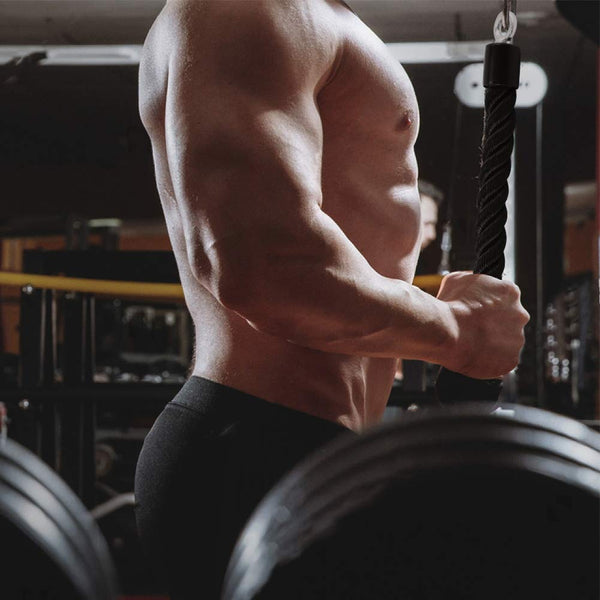 Single Grip Tricep PullDown Rope Cable Attachment Pull Down