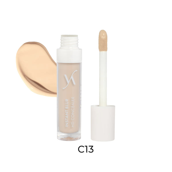 Vani-T Instant Blur HD Concealer - C13 - Makeup