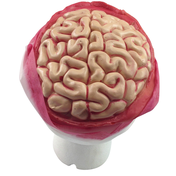 Zombie Brain Skull Cap Costume Halloween Bloody Headpiece